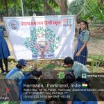 Tree Plantation Drive